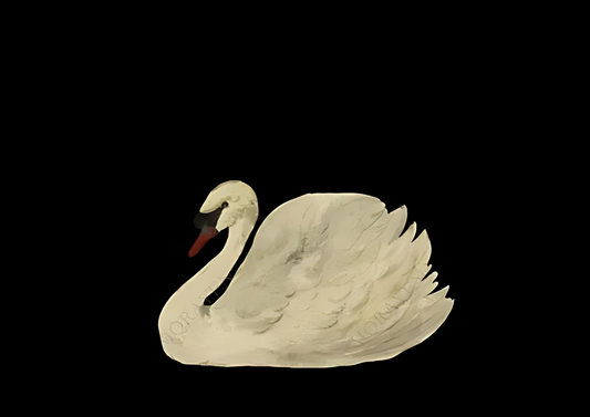 Swan Swim